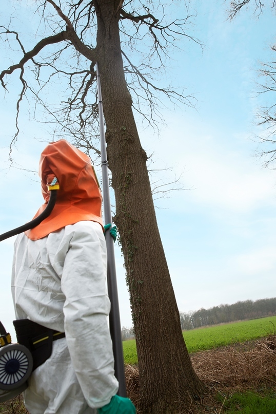 Carbon-buizen-processierups.jpg
